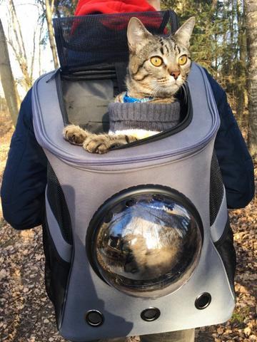 Space Capsule Pet Carrier Backpack