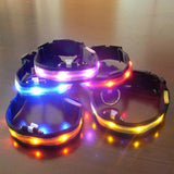 LED Pet Collar