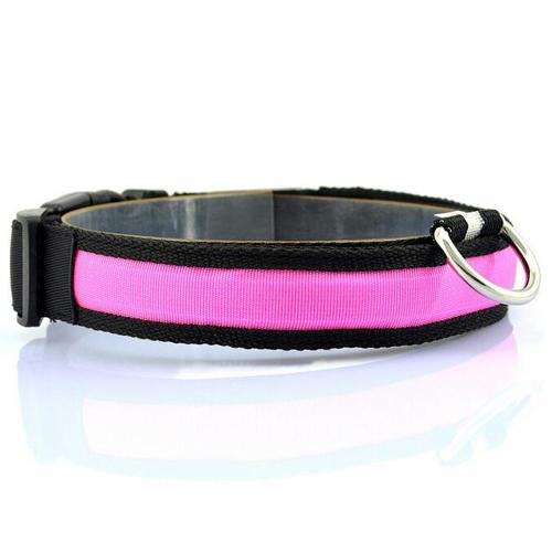 LED Pet Collar