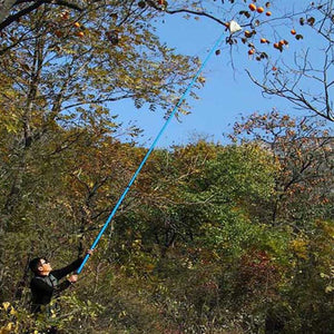 Fruit Picker